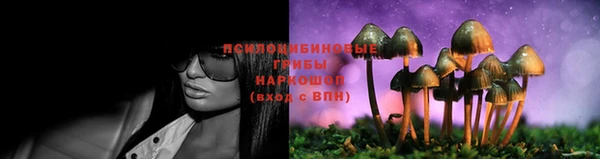ПСИЛОЦИБИНОВЫЕ ГРИБЫ Хадыженск